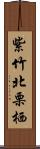 紫竹北栗栖 Scroll