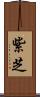 紫芝 Scroll