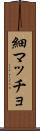 細マッチョ Scroll