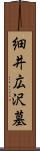 細井広沢墓 Scroll