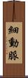 細動脈 Scroll