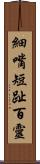 細嘴短趾百靈 Scroll