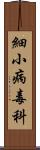 細小病毒科 Scroll