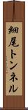 細尾トンネル Scroll