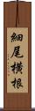 細尾横根 Scroll