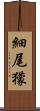 細尾獴 Scroll