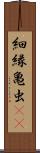 細縁亀虫(rK) Scroll