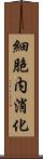 細胞内消化 Scroll
