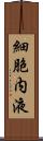 細胞内液 Scroll