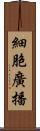 細胞廣播 Scroll