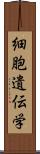 細胞遺伝学 Scroll