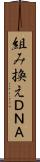 組み換えＤＮＡ Scroll