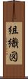 組織図 Scroll