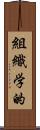 組織学的 Scroll