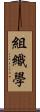 組織學 Scroll