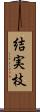 結実枝 Scroll