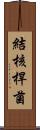 結核桿菌 Scroll