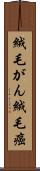絨毛がん Scroll