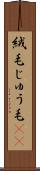 絨毛 Scroll