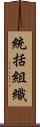 統括組織 Scroll