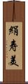 絹寿美 Scroll