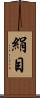 絹目 Scroll