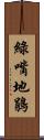 綠嘴地鵑 Scroll