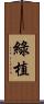 綠植 Scroll