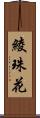 綾珠花 Scroll