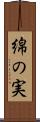 綿の実 Scroll