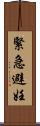 緊急避妊 Scroll