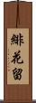 緋花留 Scroll