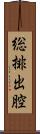 総排出腔 Scroll