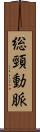 総頸動脈 Scroll