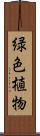 緑色植物 Scroll