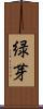 緑芽 Scroll