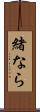 緒なら Scroll