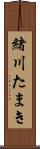 緒川たまき Scroll