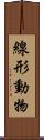 線形動物 Scroll