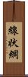 線状網 Scroll