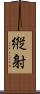 縦射 Scroll