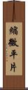 縮微平片 Scroll