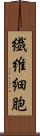 繊維細胞 Scroll