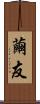 繭友 Scroll