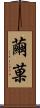 繭菓 Scroll