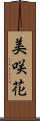美咲花 Scroll