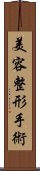 美容整形手術 Scroll