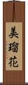 美瑠花 Scroll