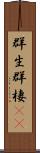 群生 Scroll