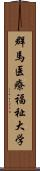 群馬医療福祉大学 Scroll